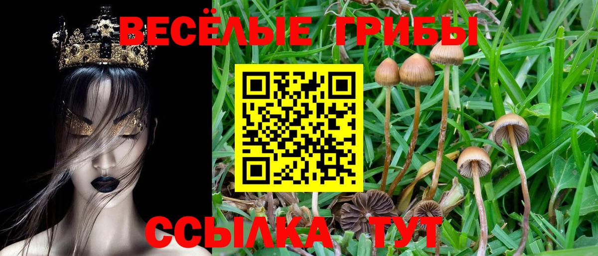 КОКАИН  Гашиш  Канабис  Полысаево  Меф кристаллы  Вход с VPN 