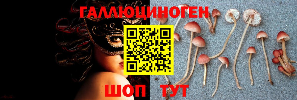 Галлюциногенные грибы Cubensis Полысаево