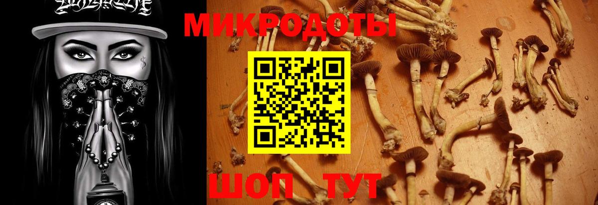 Полысаево  Галлюциногенные грибы мицелий  хочу   Вход с VPN 
